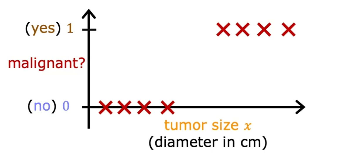 LR1 (2)